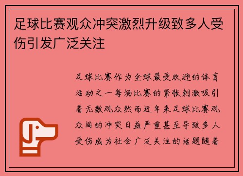 足球比赛观众冲突激烈升级致多人受伤引发广泛关注