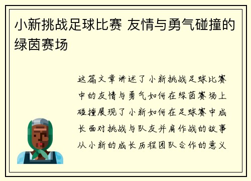 小新挑战足球比赛 友情与勇气碰撞的绿茵赛场