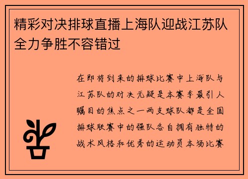精彩对决排球直播上海队迎战江苏队全力争胜不容错过