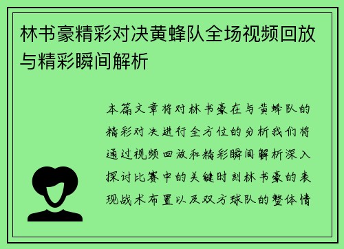 林书豪精彩对决黄蜂队全场视频回放与精彩瞬间解析