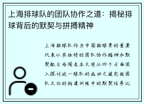 上海排球队的团队协作之道：揭秘排球背后的默契与拼搏精神