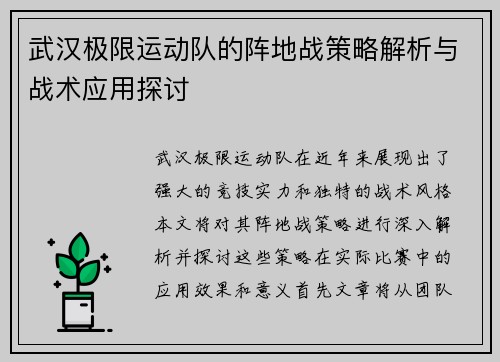 武汉极限运动队的阵地战策略解析与战术应用探讨